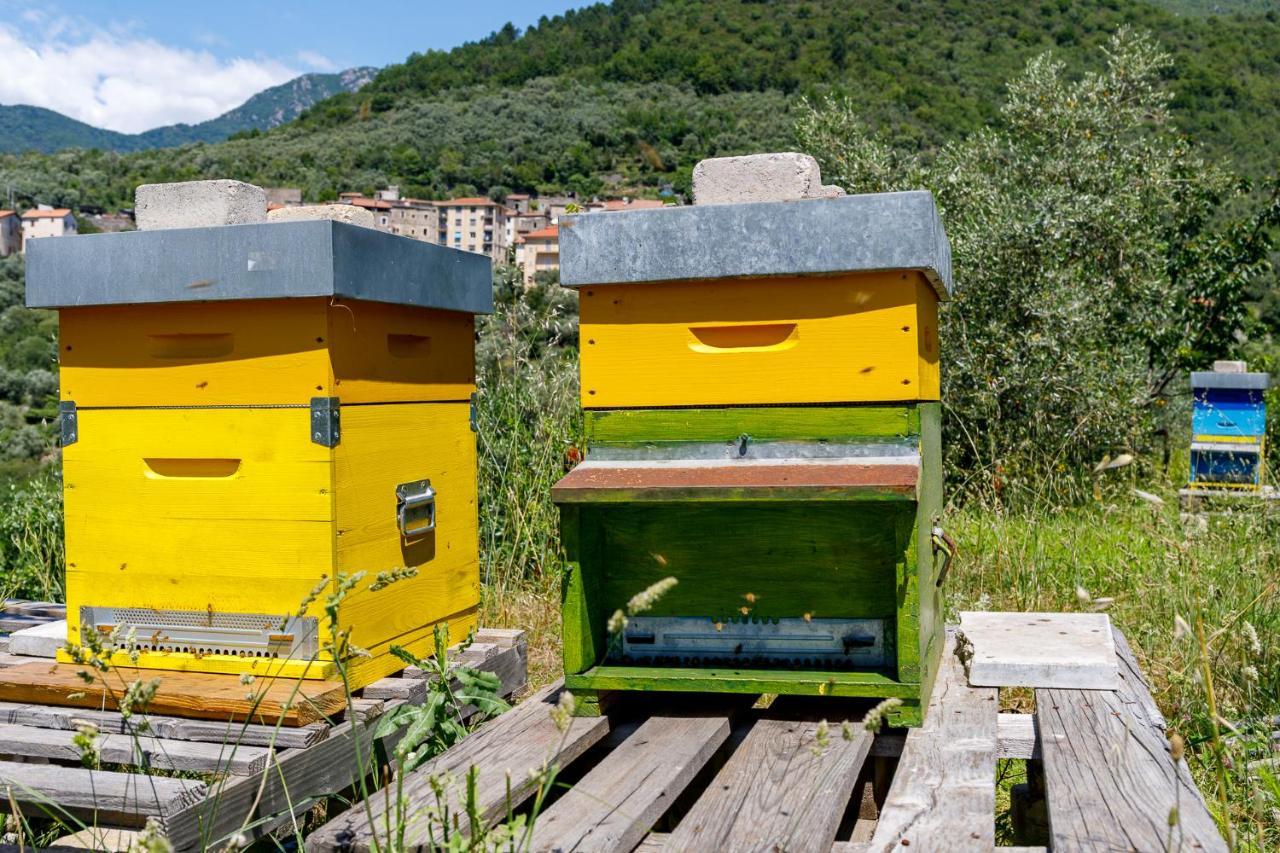 Arve Castelbianco - B&B E Appartamento Colletta Ngoại thất bức ảnh